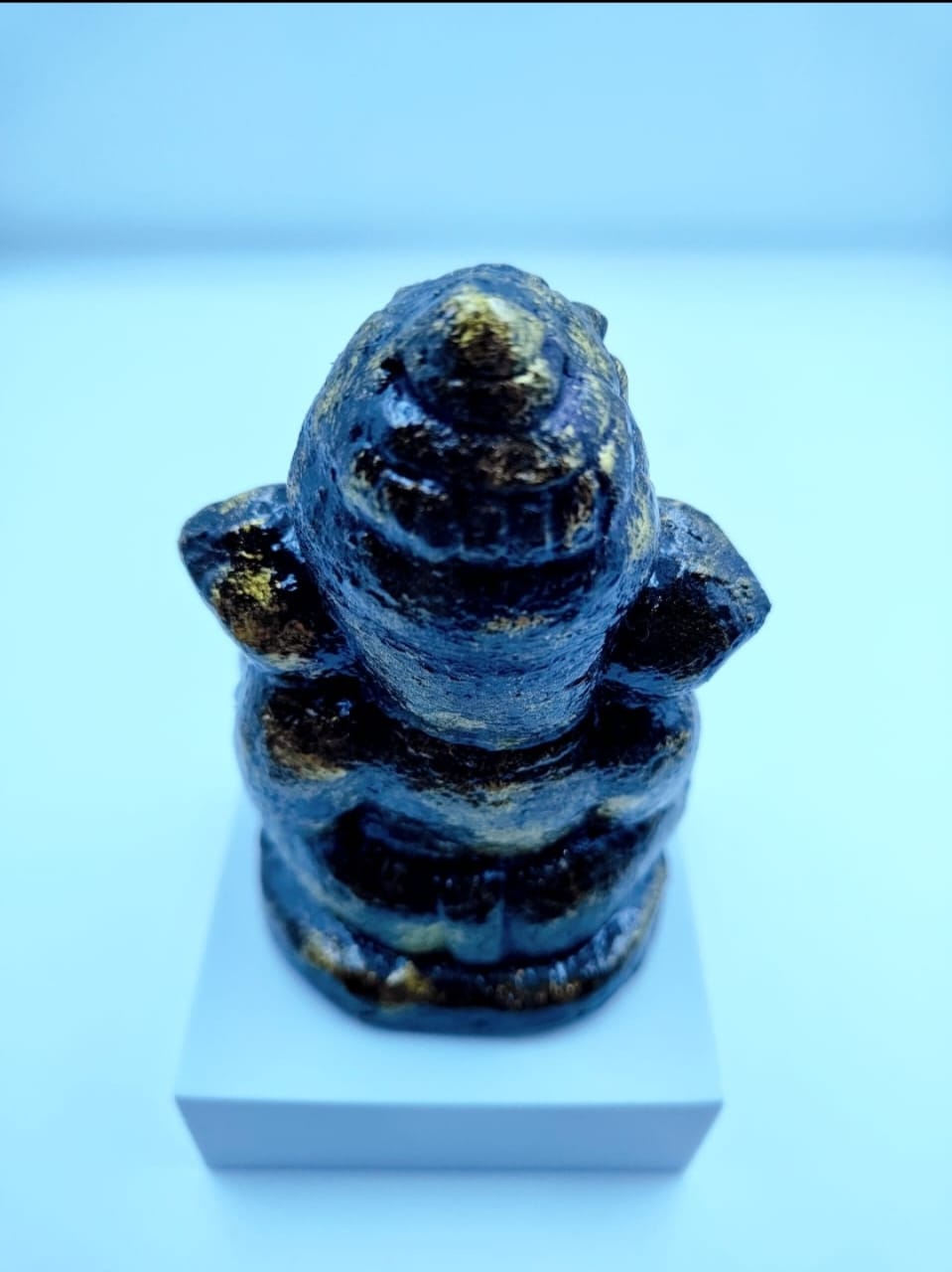 /storage/photos/1/Products/Sacred Cow Dung/ef6cdc25-014d-4348-ad4d-771e1e59106b.jpeg